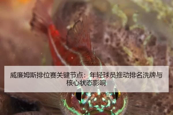 威廉姆斯排位赛关键节点：年轻球员推动排名洗牌与核心状态影响